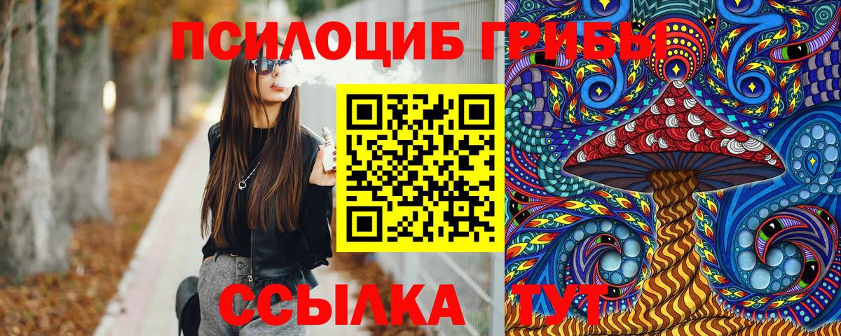 купить  цена  Вход с VPN  Алексин  Псилоцибиновые грибы прущие грибы 